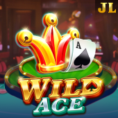 Wild Ace jili333 game download slot